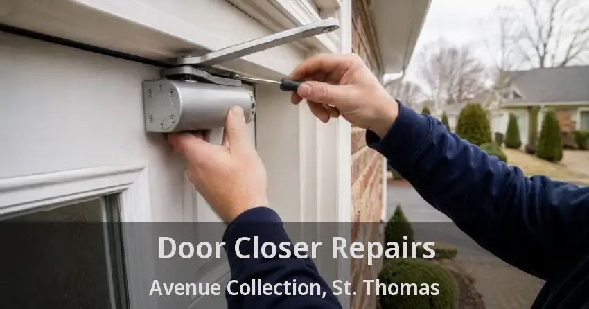 Door Closer Repairs Avenue Collection, St. Thomas - ON