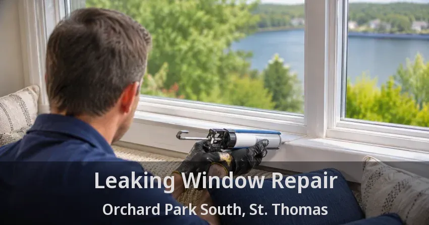 Leaking Window Repair Orchard Park South, St. Thomas - ON