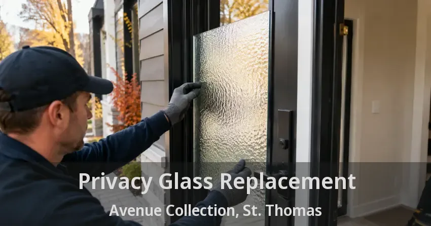 Privacy Glass Replacement Avenue Collection, St. Thomas - ON