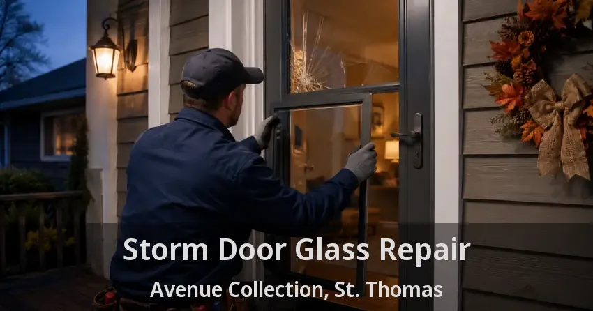 Storm Door Glass Repair Avenue Collection, St. Thomas - ON