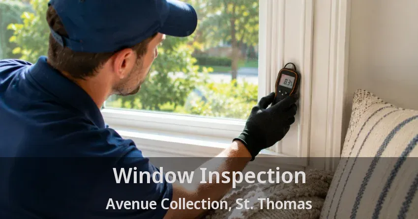 Window Inspection Avenue Collection, St. Thomas - ON