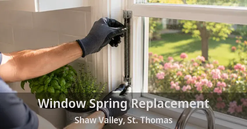 Window Spring Replacement Shaw Valley, St. Thomas - ON